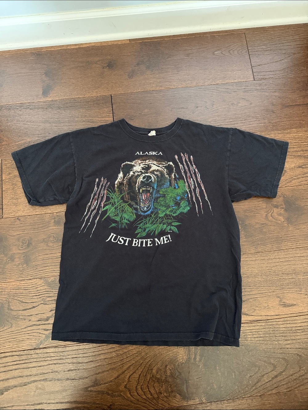 Vintage Alaska Souvenir Tee